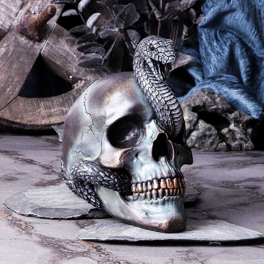 Gothic Snake Skull Statue 19cm - Figures & Collectables at Gift Moments