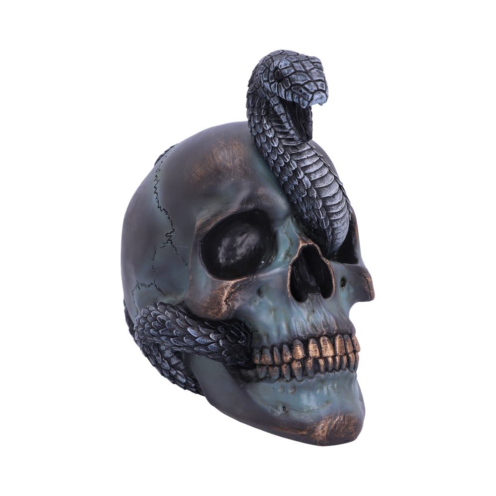 Gothic Snake Skull Statue 19cm Default Title - Figures & Collectables at Gift Moments