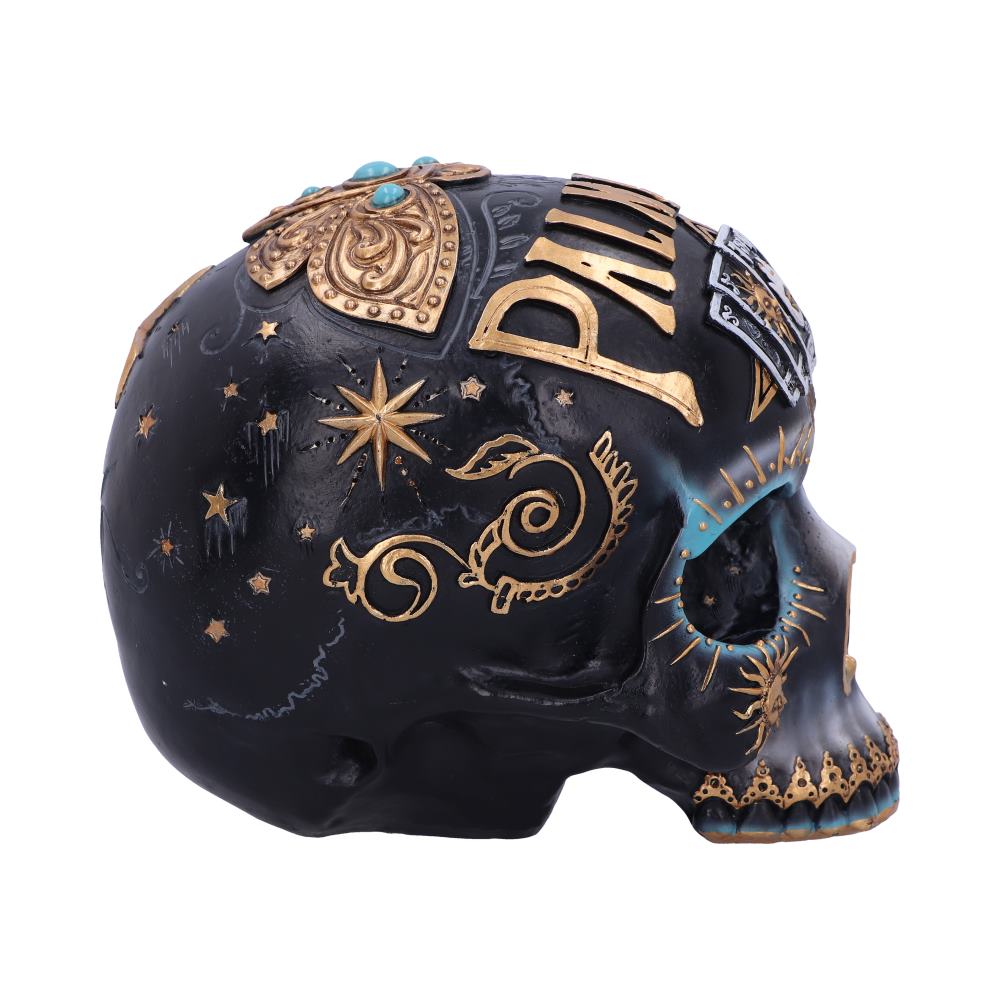 Destiny Palmistry Skull 18cm - Figures & Collectables at Gift Moments