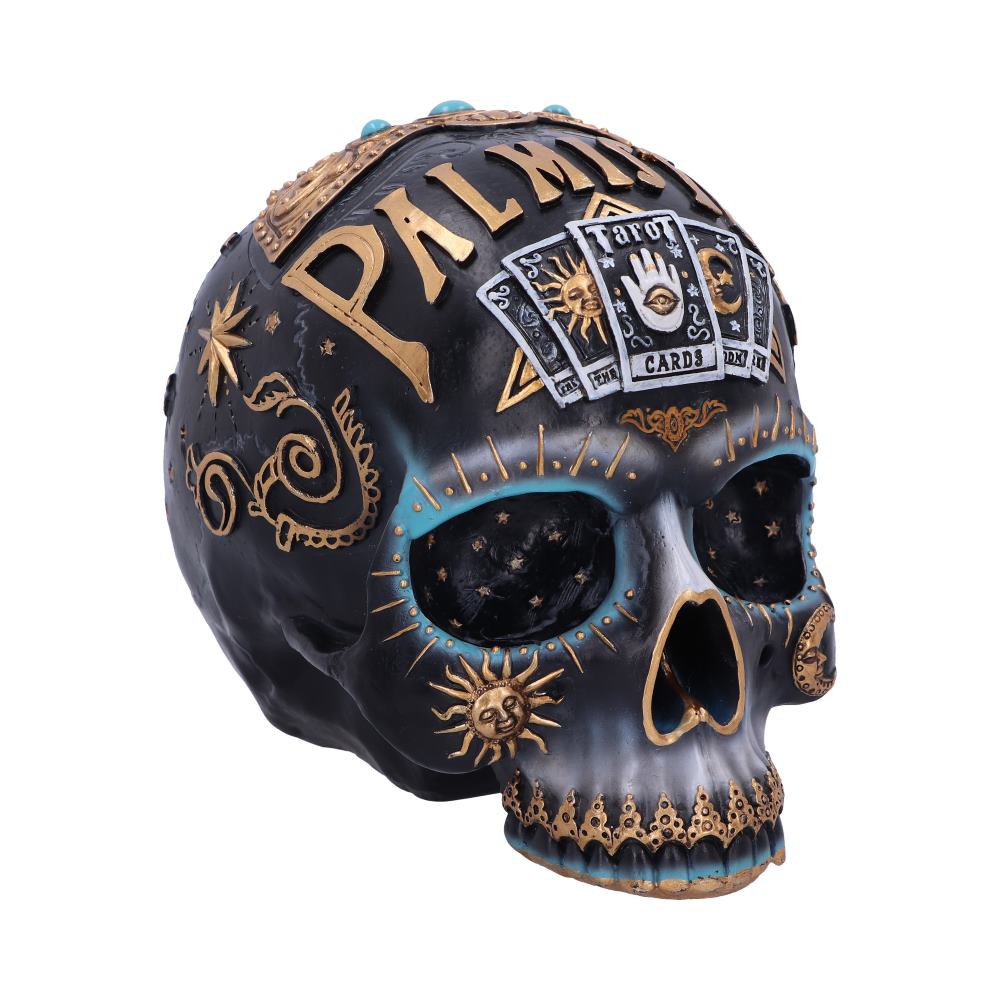 Destiny Palmistry Skull 18cm Default Title - Figures & Collectables at Gift Moments