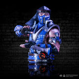 Sub-Zero Mortal Kombat Bust 29cm: 1 - Figures & Collectables By Mortal Kombat