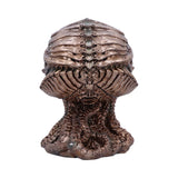 James Ryman Bronze Cthulhu Skull 20cm - Figures & Collectables at Gift Moments