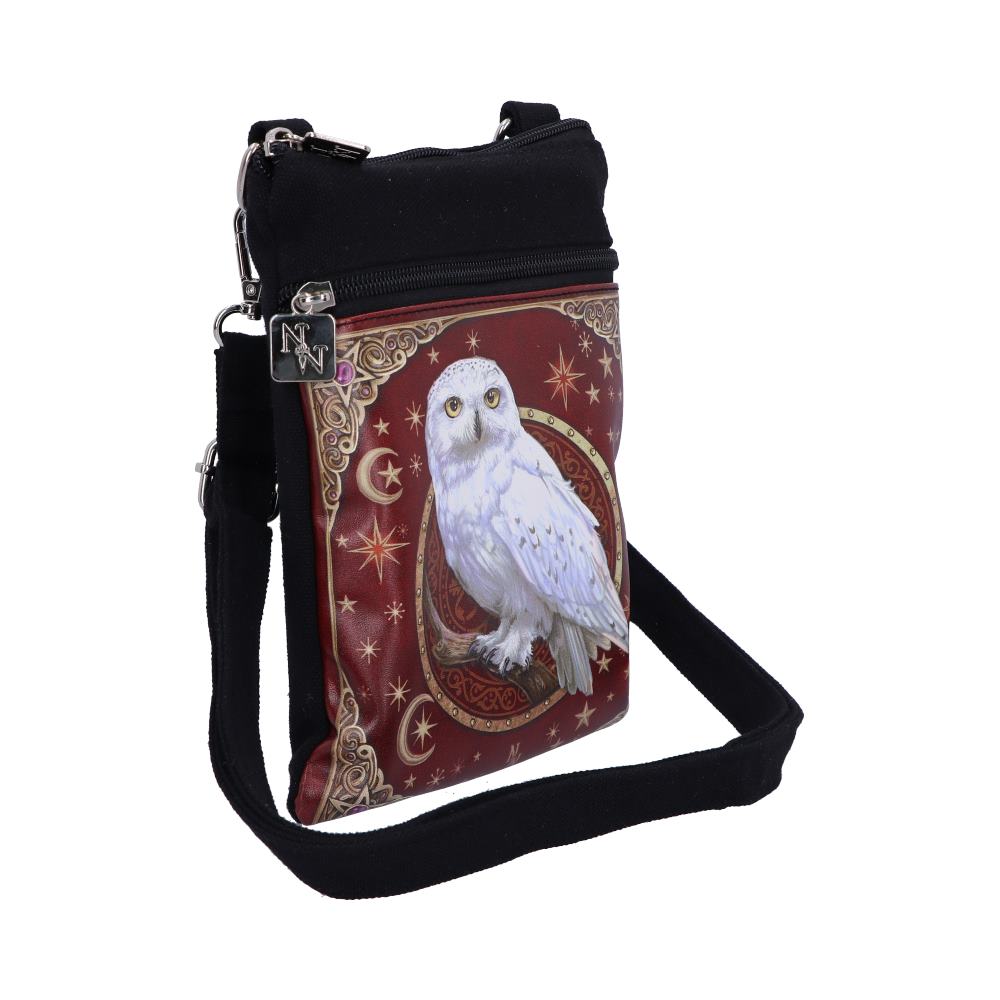 Magical Flight Shoulder Bag 23cm - Bags at Gift Moments