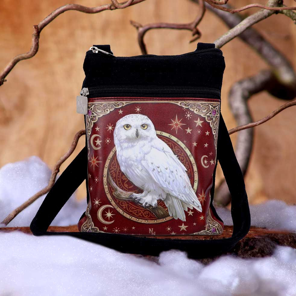 Magical Flight Shoulder Bag 23cm - Bags at Gift Moments