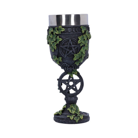 Aged Wiccan Pentagram Goblet 19.5cm - Goblets & Chalices at Gift Moments