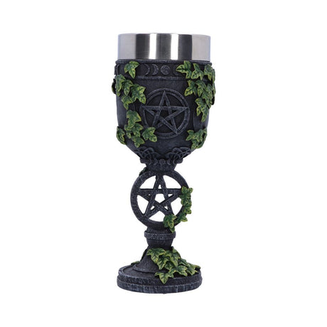 Aged Wiccan Pentagram Goblet 19.5cm Default Title - Goblets & Chalices at Gift Moments