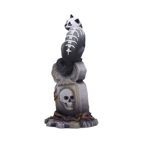 Gothic Skull Cat by Martin Hanford 15cm - Figures & Collectables at Gift Moments