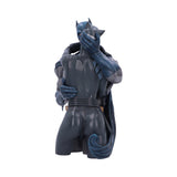 Batman & Catwoman DC Collectible Bust - Figures & Collectables at Gift Moments