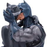 Batman & Catwoman DC Collectible Bust - Figures & Collectables at Gift Moments