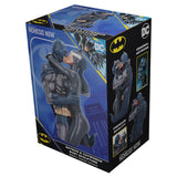 Batman & Catwoman DC Collectible Bust - Figures & Collectables at Gift Moments