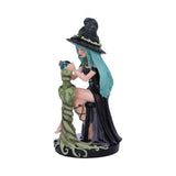 Sage Sugar & Spice Witch Figurine - Figures & Collectables at Gift Moments