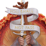 Lord of the Rings You Shall Not Pass Wall Plaque - Signs & Plaques at Gift Moments