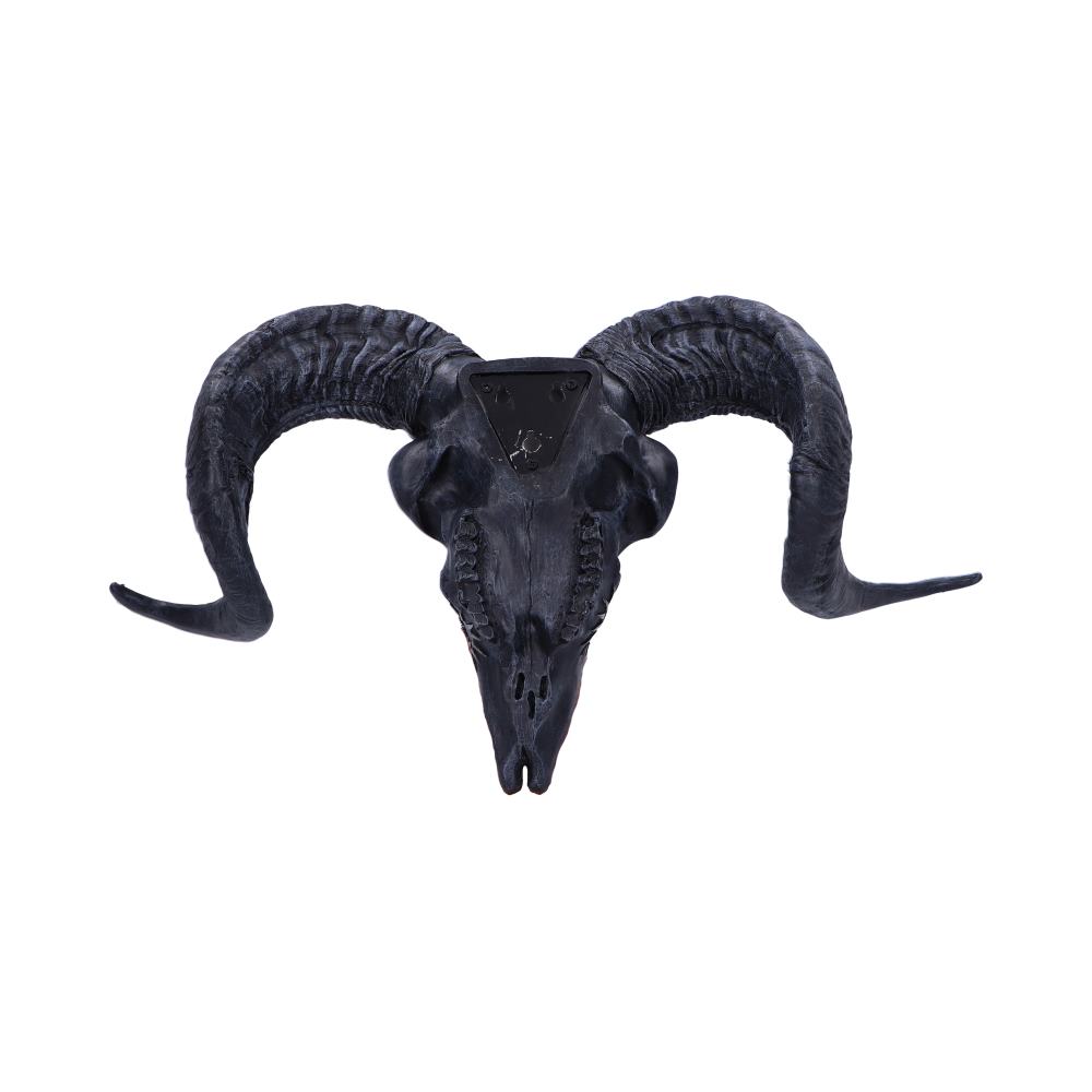 Baphomet’s Veneration Skull Wall Plaque 53cm: 4 - Wall Hanging Sculptures By Gift Moments