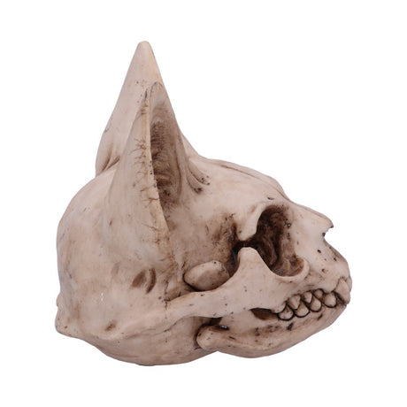 Bastet’s Secret Cat Skull Figurine Ornament: 5 - Figures & Collectables By Gift Moments