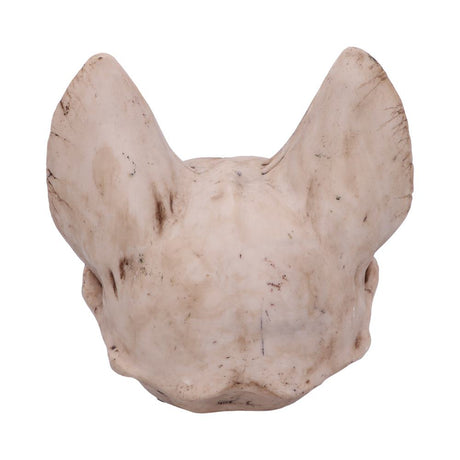 Bastet’s Secret Cat Skull Figurine Ornament: 4 - Figures & Collectables By Gift Moments