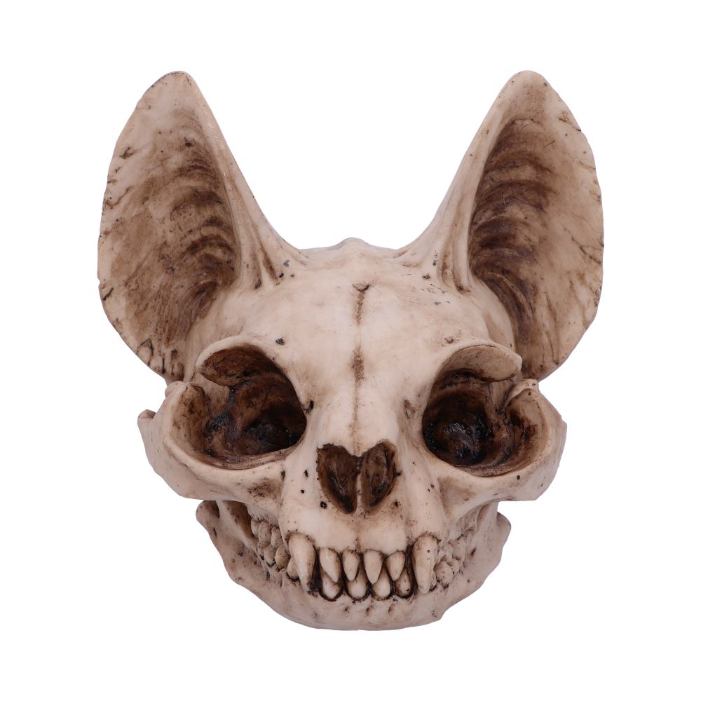 Bastet’s Secret Cat Skull Figurine Ornament: 2 - Figures & Collectables By Gift Moments