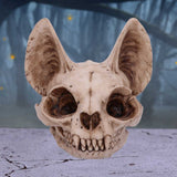 Bastet’s Secret Cat Skull Figurine Ornament: 1 - Figures & Collectables By Gift Moments