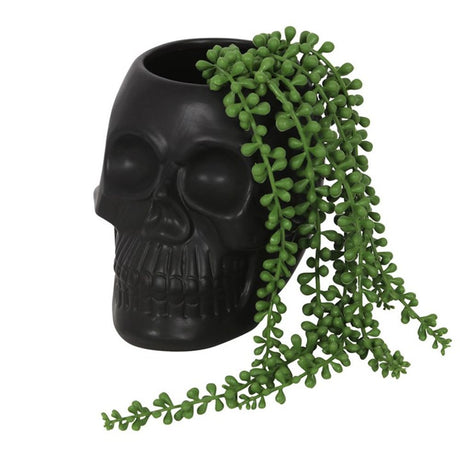 Skull Plant Pot Black: 1 - Pots & Planters By Gift Moments