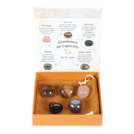 Capricorn Crystal Tumblestone Set: 2 - By Gift Moments