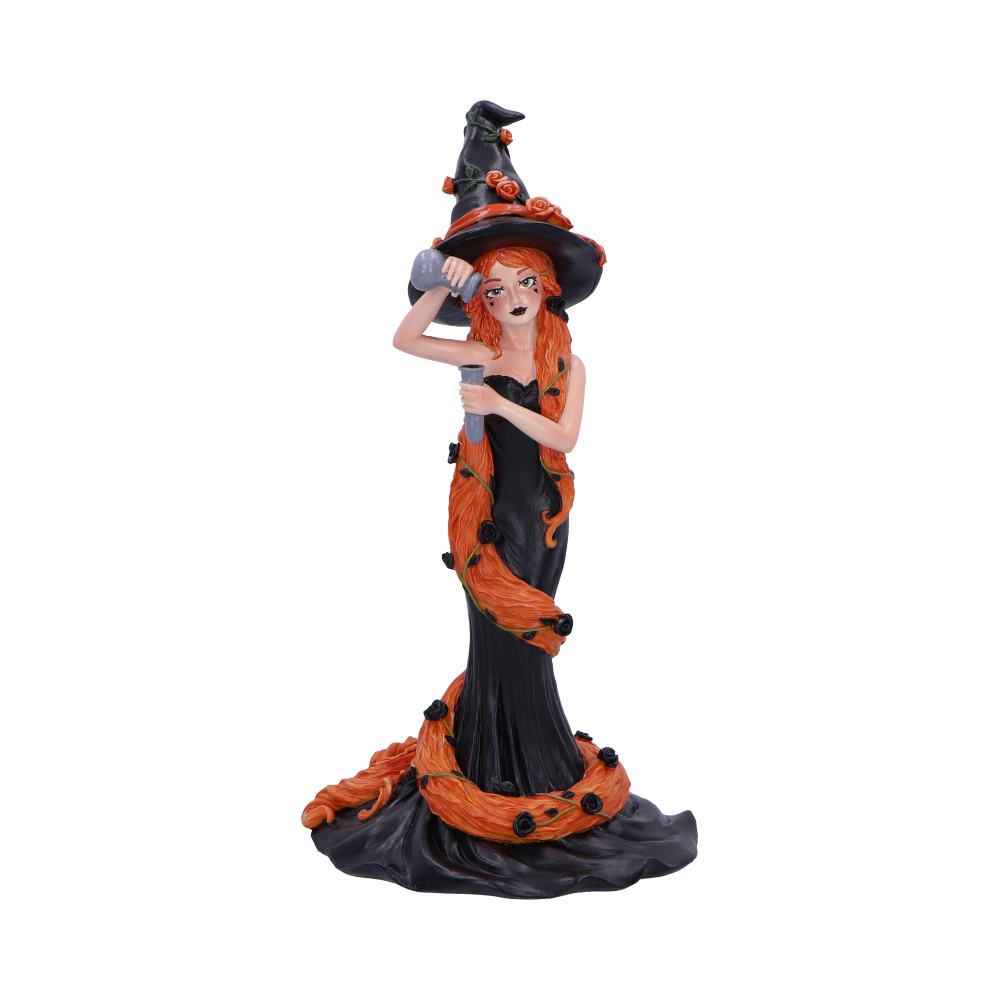 Cinnamon Sugar & Spice Witch Figurine: 2 - Figures & Collectables By NN Designs