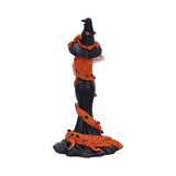 Cinnamon Sugar & Spice Witch Figurine: 4 - Figures & Collectables By NN Designs