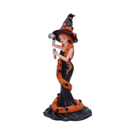 Cinnamon Sugar & Spice Witch Figurine: 3 - Figures & Collectables By NN Designs