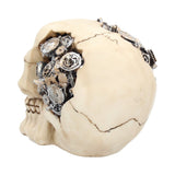 Clockwork Cranium Steampunk Skull 15cm: 5 - Figures & Collectables By Gift Moments