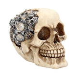 Clockwork Cranium Steampunk Skull 15cm: 2 - Figures & Collectables By Gift Moments