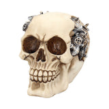 Clockwork Cranium Steampunk Skull 15cm: 3 - Figures & Collectables By Gift Moments