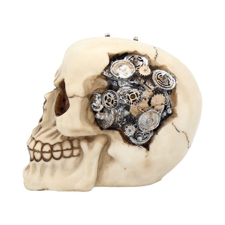 Clockwork Cranium Steampunk Skull 15cm: 4 - Figures & Collectables By Gift Moments