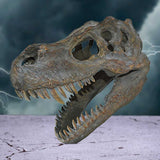 Tyrannosaurus Rex Dinosaur Skull Small 39.5cm - Wall Hanging Sculptures at Gift Moments