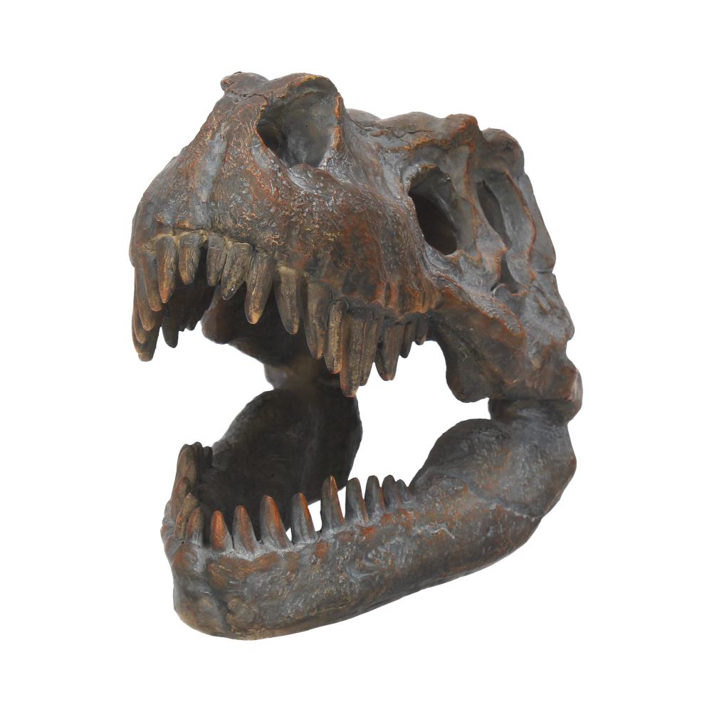 Freestanding Tyrannosaurus Rex Skull Figurine Ornament - Figurines Medium (15-29cm) at Gift Moments