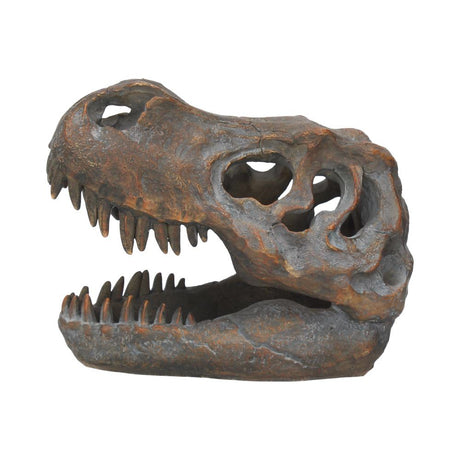 Freestanding Tyrannosaurus Rex Skull Figurine Ornament - Figures & Collectables at Gift Moments