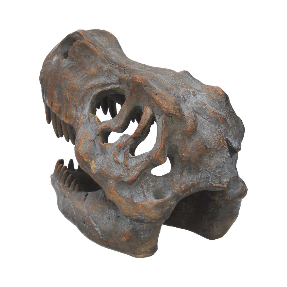 Freestanding Tyrannosaurus Rex Skull Figurine Ornament - Figurines Medium (15-29cm) at Gift Moments