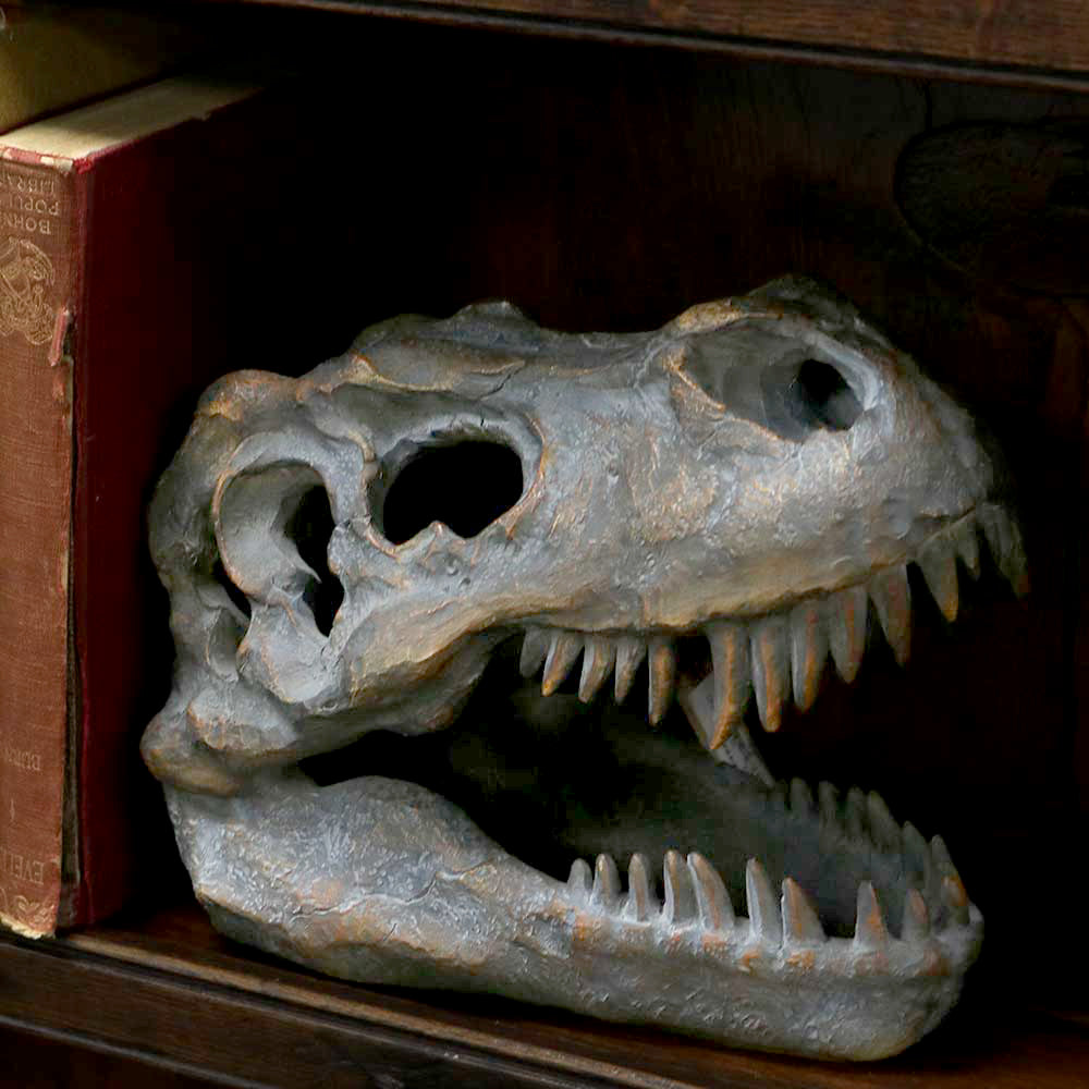 Freestanding Tyrannosaurus Rex Skull Figurine Ornament - Figurines Medium (15-29cm) at Gift Moments