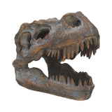 Freestanding Tyrannosaurus Rex Skull Figurine Ornament Default Title - Figurines Medium (15-29cm) at Gift Moments