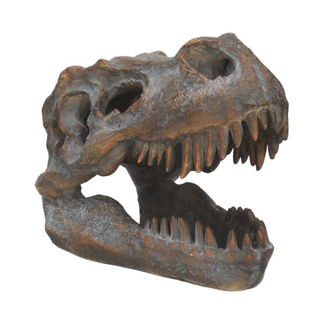 Freestanding Tyrannosaurus Rex Skull Figurine Ornament Default Title - Figures & Collectables at Gift Moments