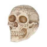 Astrological Skull Engraved With The Zodiac Circle 20cm - Figurines Medium (15-29cm) at Gift Moments