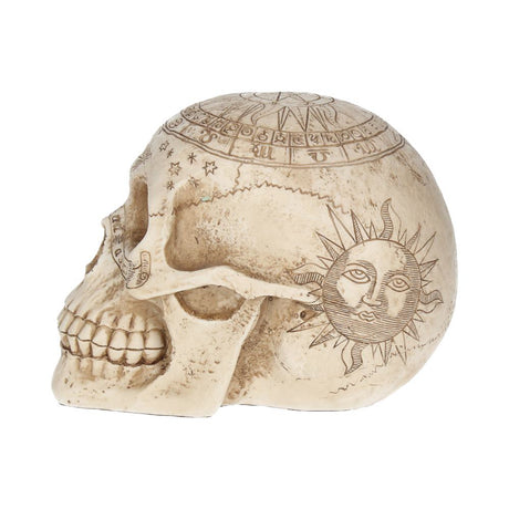 Astrological Skull Engraved With The Zodiac Circle 20cm - Figurines Medium (15-29cm) at Gift Moments