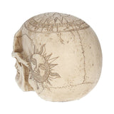 Astrological Skull Engraved With The Zodiac Circle 20cm - Figurines Medium (15-29cm) at Gift Moments