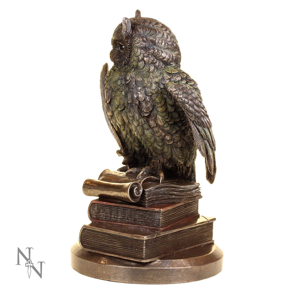 Ulula Bronze Academic Owl Figurine - Figurines Medium (15-29cm) at Gift Moments