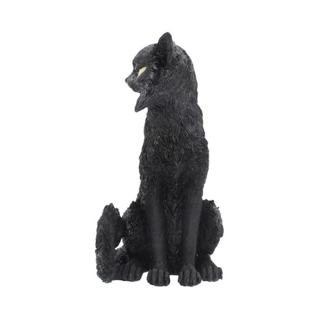 Large Black Cat Witches Familiar Figure Salem 32.5cm - Figures & Collectables at Gift Moments