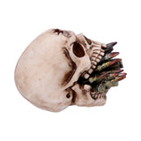 Bite the Bullet Skull Ornament - Figures & Collectables at Gift Moments