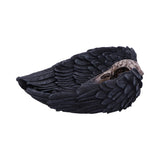 Edgar Allen Poe's Nevermore Raven Skull Trinket Holder Jewellery Dish - Figures & Collectables at Gift Moments