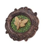 Moth Macabre Baroque Framed Death's Head Moth Wall Plaque - Wall Hanging Sculptures at Gift Moments