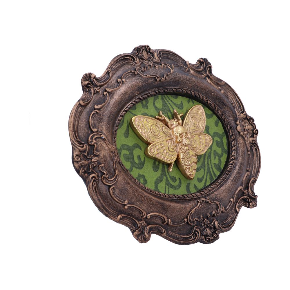 Moth Macabre Baroque Framed Death's Head Moth Wall Plaque - Wall Hanging Sculptures at Gift Moments