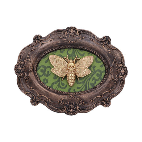 Moth Macabre Baroque Framed Death's Head Moth Wall Plaque Default Title - Wall Hanging Sculptures at Gift Moments