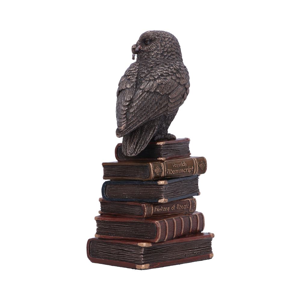 Bronze Spellcraft Witches Familiar Owl on Book Figurine - Figures & Collectables at Gift Moments