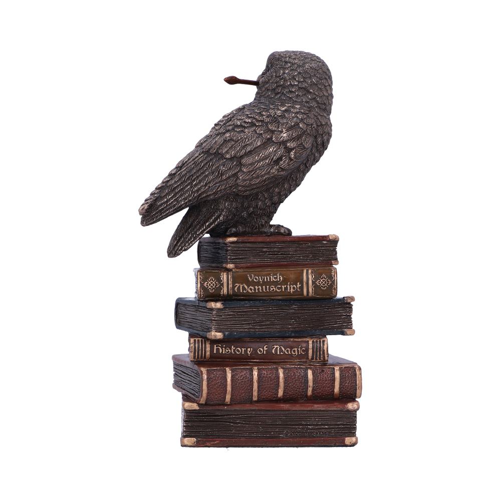 Bronze Spellcraft Witches Familiar Owl on Book Figurine - Figures & Collectables at Gift Moments