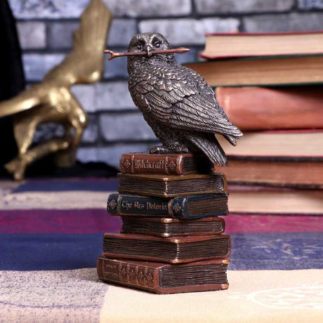 Bronze Spellcraft Witches Familiar Owl on Book Figurine - Figures & Collectables at Gift Moments